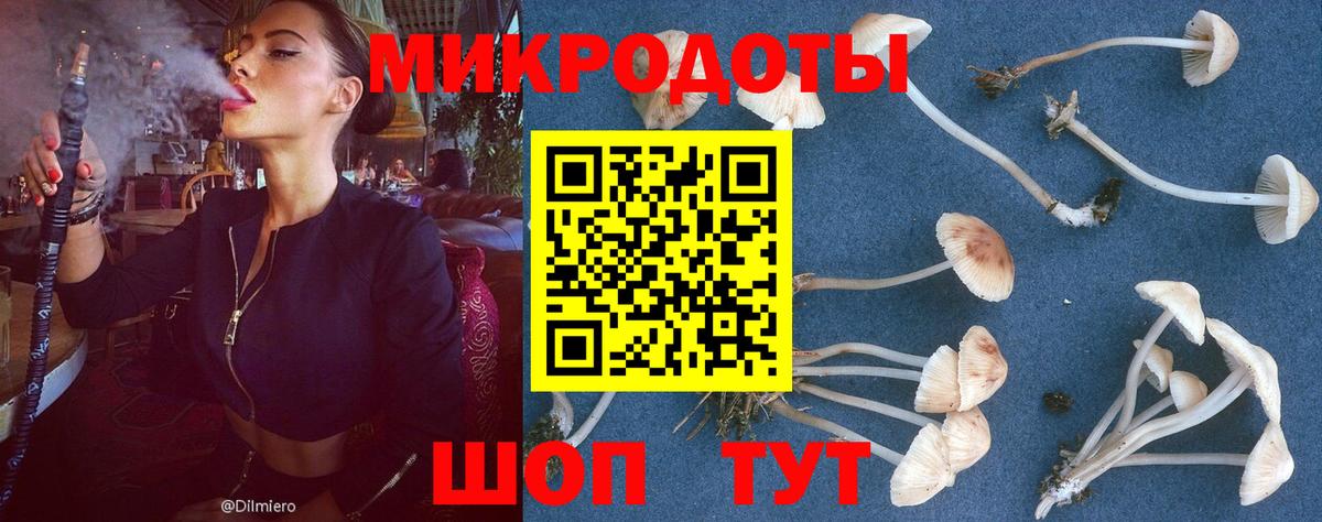 Галлюциногенные грибы мухоморы Кингисепп
