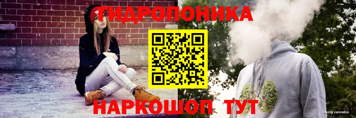 Бошки марихуана семена  Вход с VPN  Каннабис индика  Бошки Шишки тримм  Бошки Шишки индика  Кингисепп 